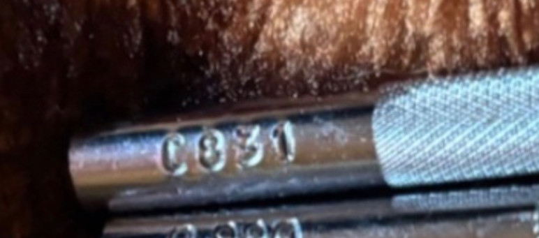 Craftool camouflage stamp size C831