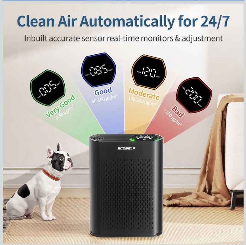 Ecoself Console Air Purifier Black with Dust Sensor & Automatic Adjustment
