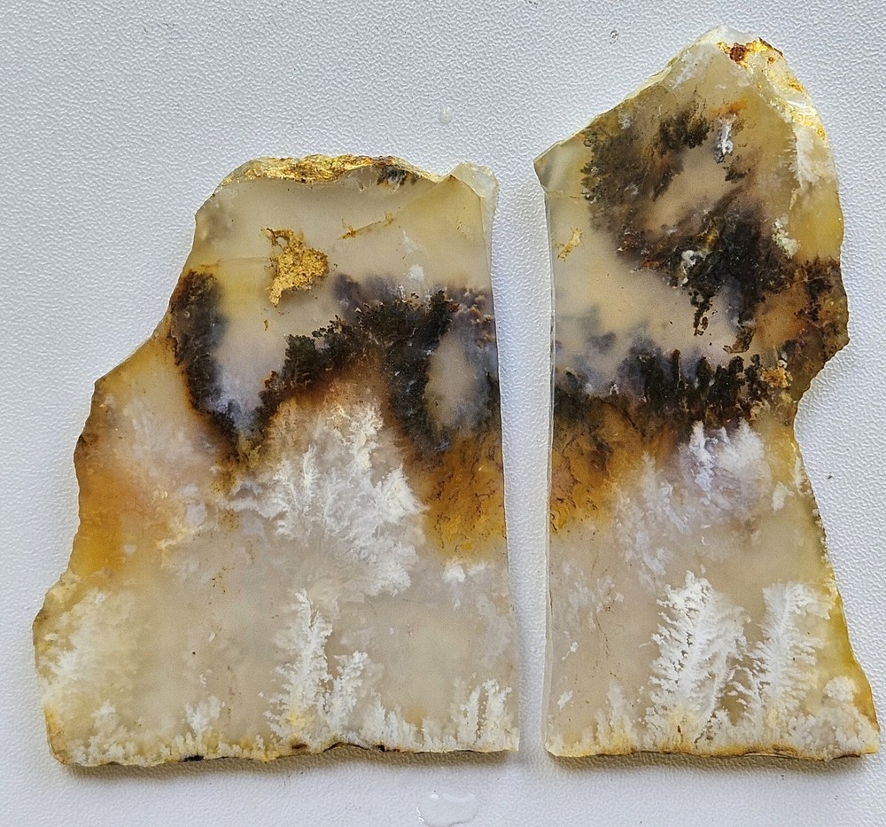 Nice Graveyard Plume Agate Lapidary Slabs 76 Grams