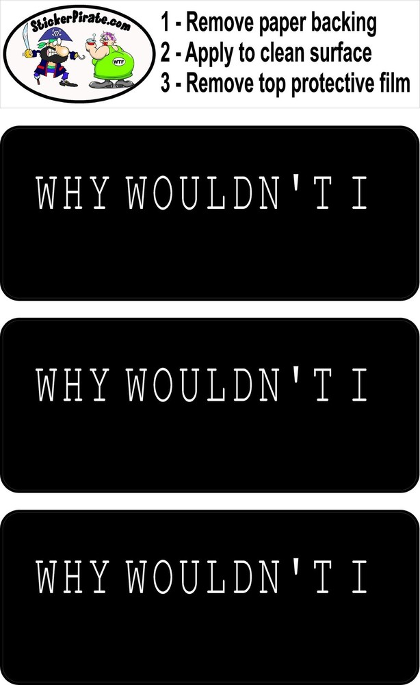 3 - Why Wouldn't I Hard Hat Biker Helmet Sticker Bs585