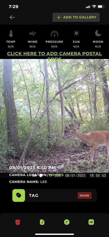 Preorbital Deer Rope System