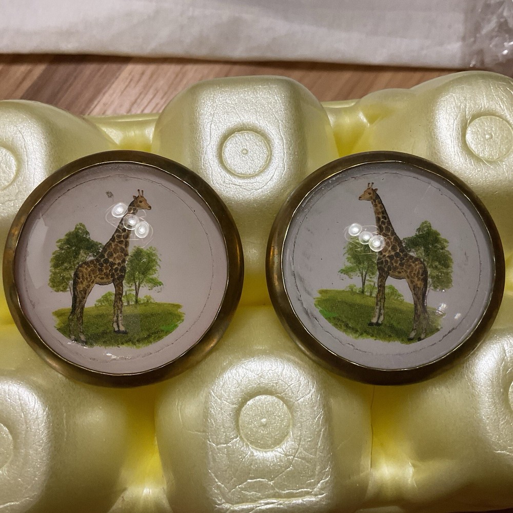 Horse Bridle Rosettes/ Buttons / Conchos