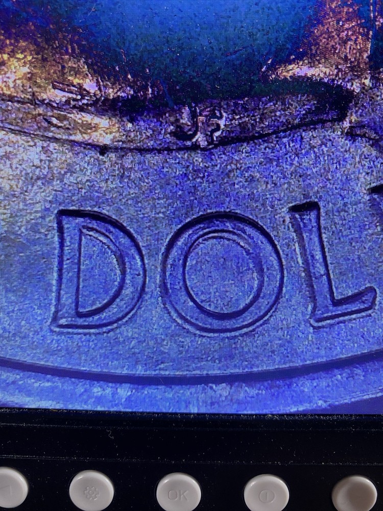 🔥2016 P Fort Moultrie Quarter With Multiple DDO Errors🔥