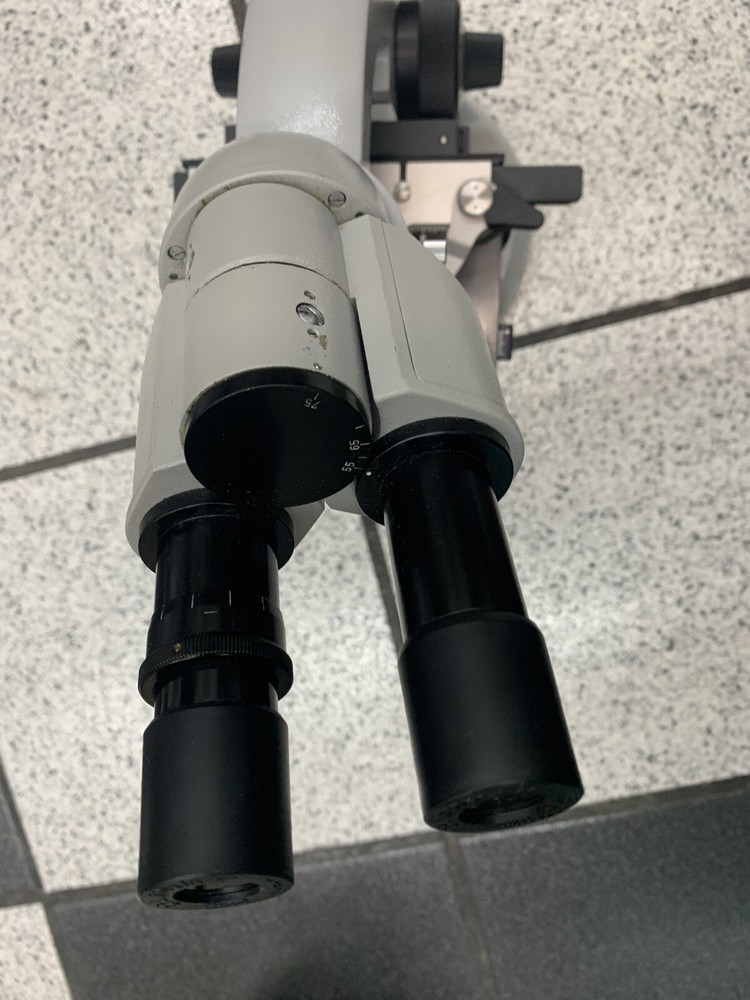 Vintage Carl Zeiss microscope, Standard, binocular
