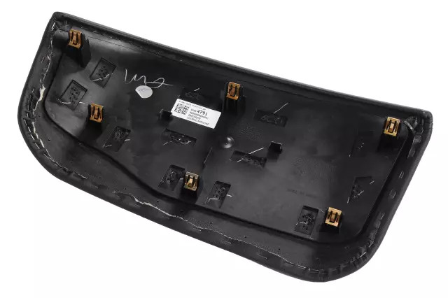 Genuine GM Cluster Visor 84054791