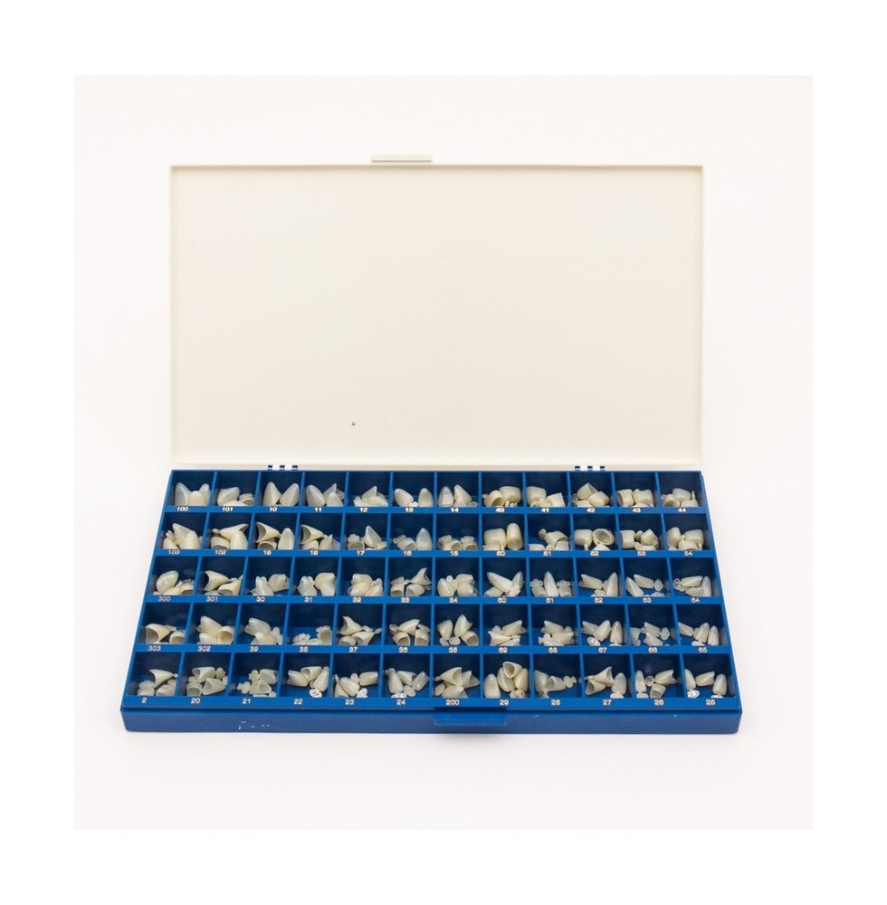 Polycarbonate Temporary Dental Crowns Box Kit 180 pcs with Paper Guide Chart