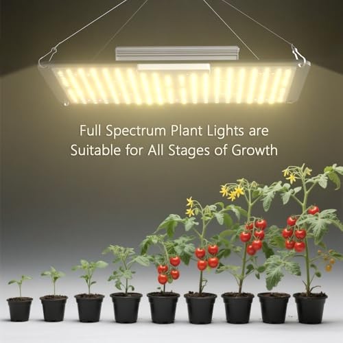 S1000 LED Grow Light for Seed Starting Vegetables Bloom, High PPF White & Red