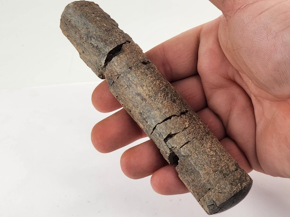Polished Dinosaur Bone (Rib?) Fossil - Morrison Fm.