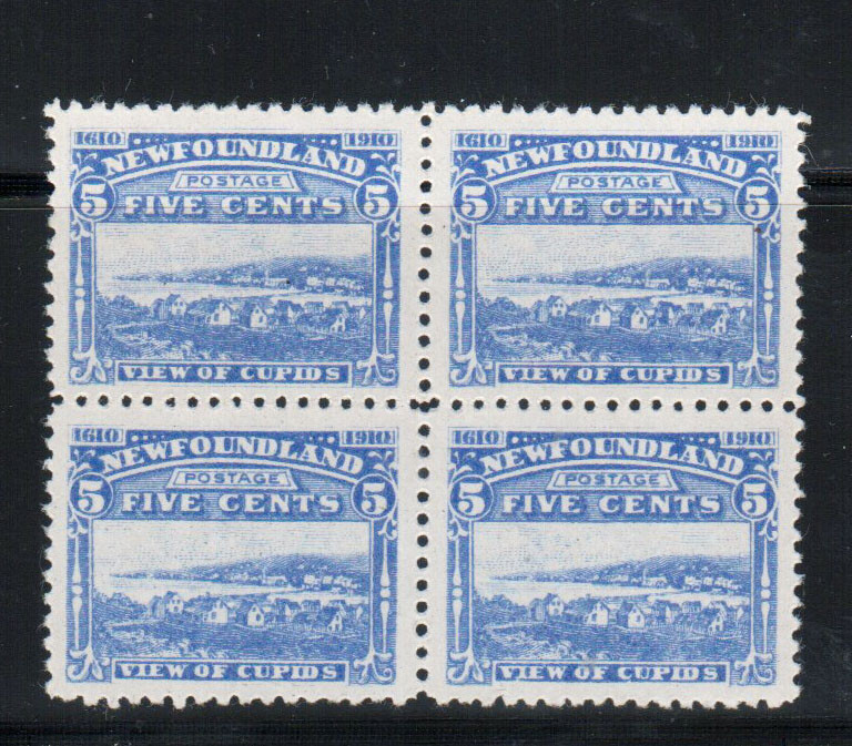 Newfoundland #91a Very Fine Never Hinged Block