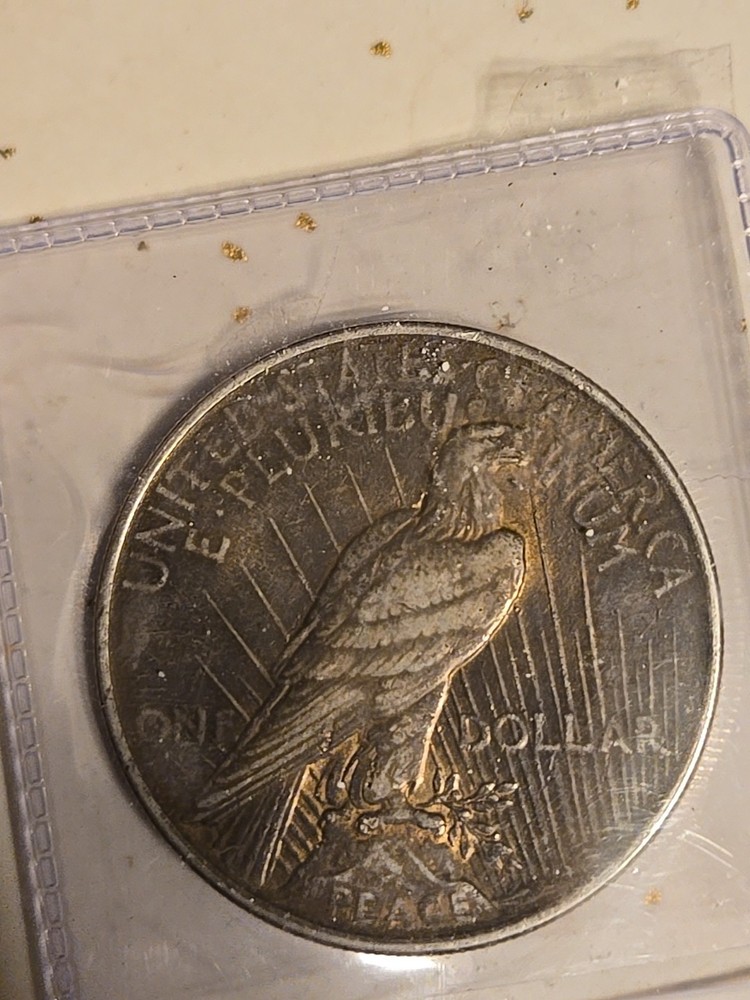 1924 $1 Peace Dollar Toned