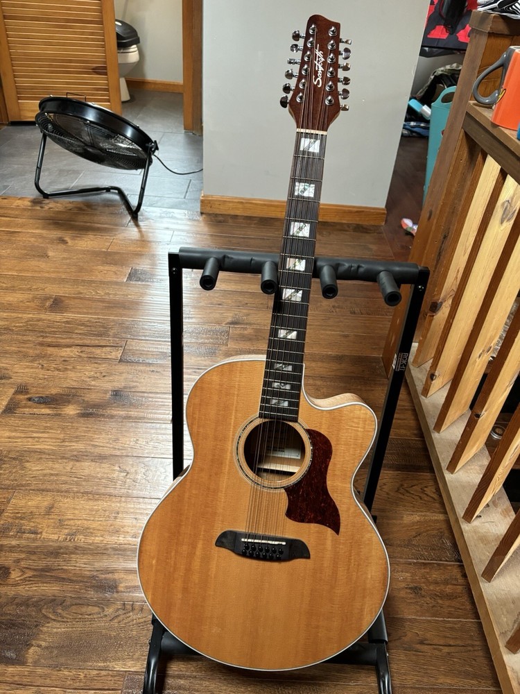 Sawtooth 12 String Guitar + Chromocast Hardshell Case