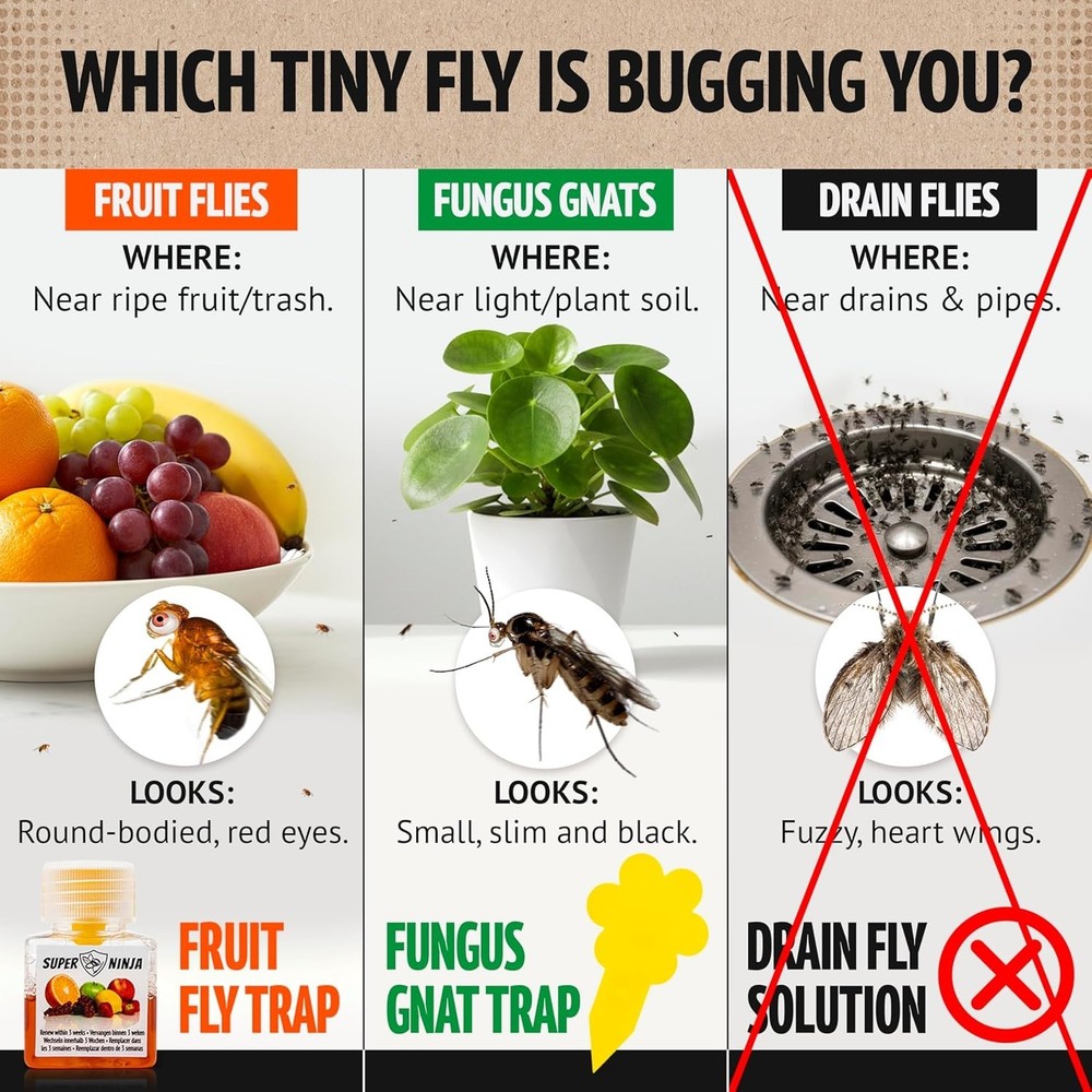Super Ninja Fruit Fly Traps for Indoors - 4 Pack, Highly Effective Fruit Fly Cat