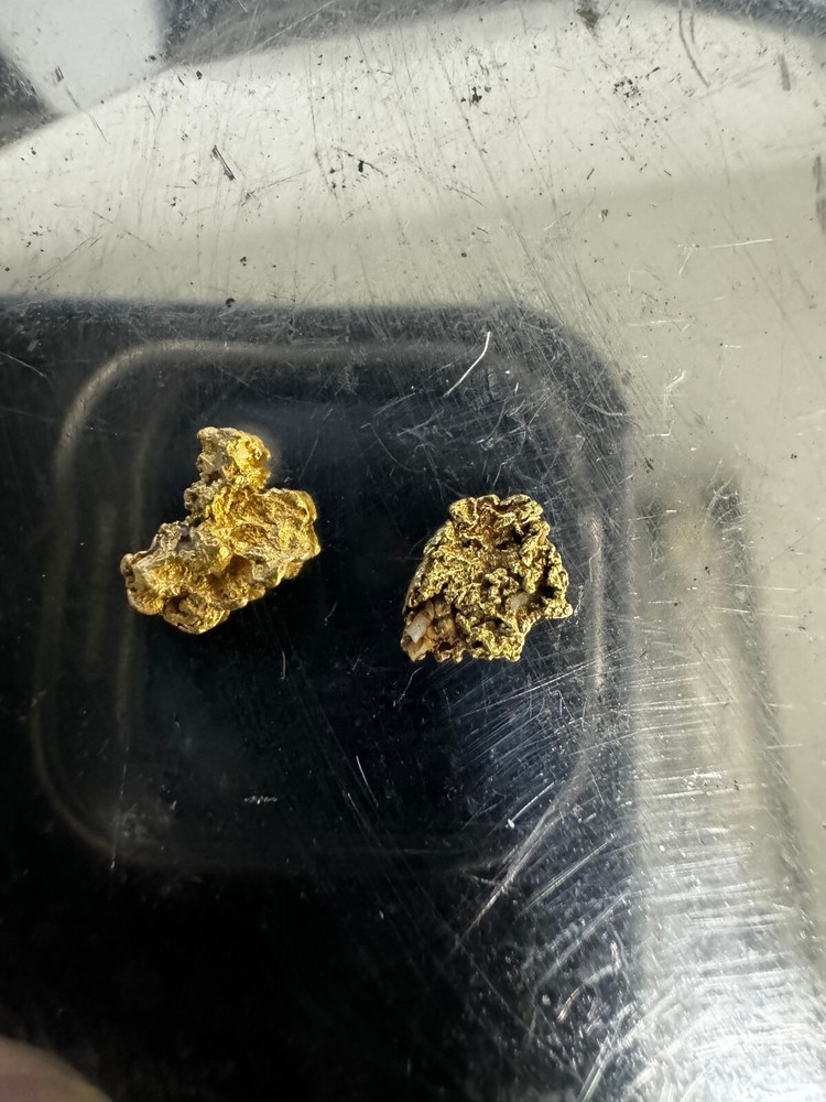 .929 Gram Gold Nugget