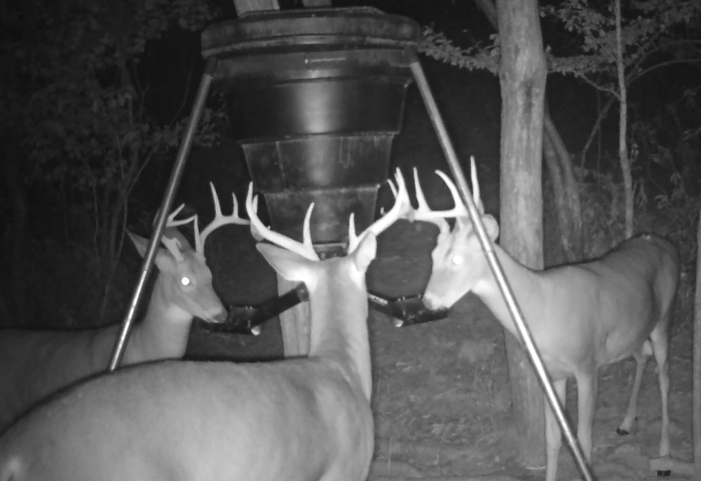 SPYDER Gravity Feeder Attachment