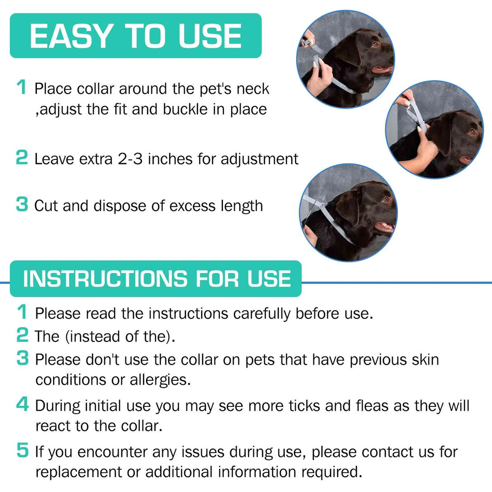 Collar for Harrier and Other Medium Size Hound Dogs. Waterproof & Adjustable.