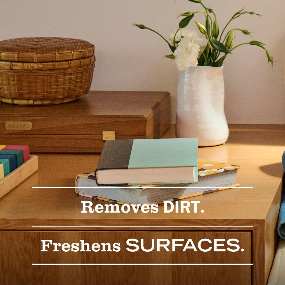 Multi-Surface Cleaner Rain Water Scent 16 Fl Oz - 1 Pack