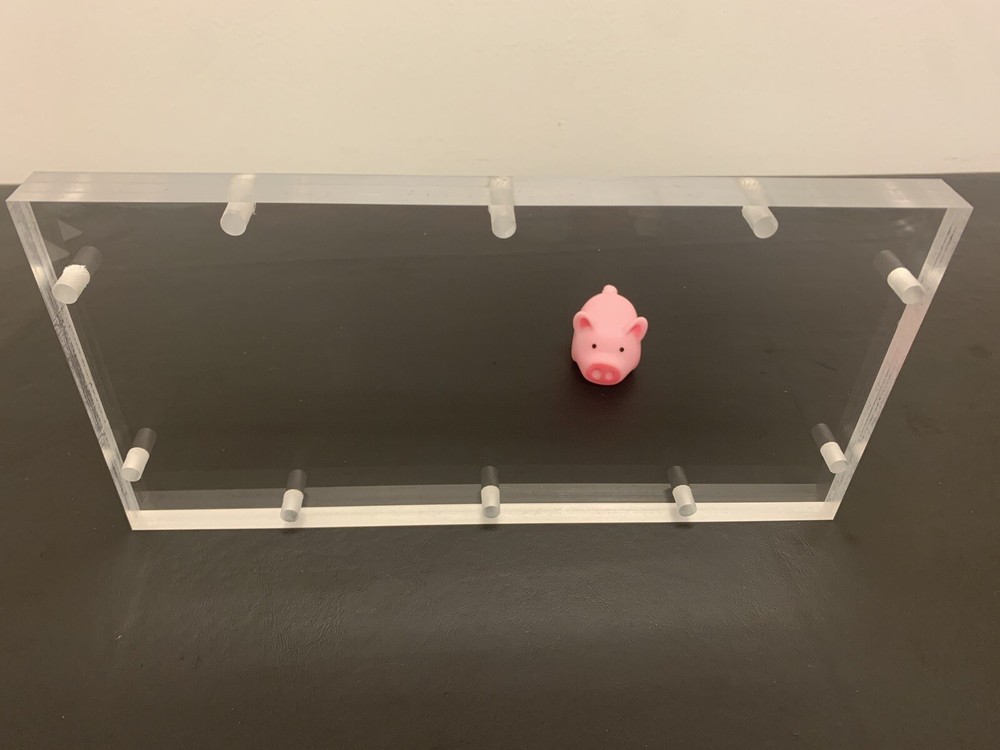 Blank: 10” X 5” Plexiglass Viewing Window (3/4") For Sub Box
