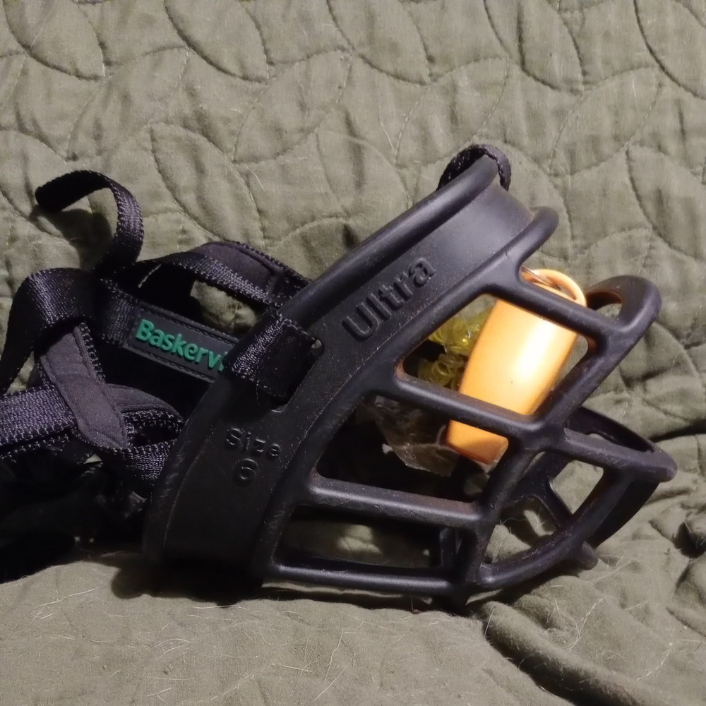 Baskerville Ultra Muzzle w/Training Clicker, Size 6 Black