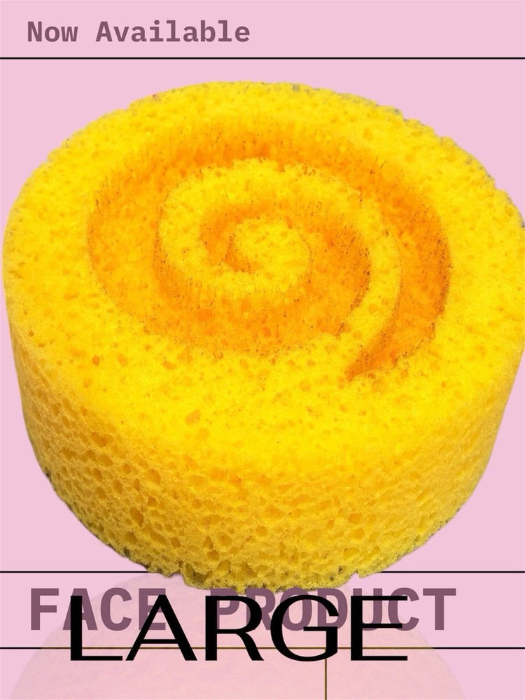 Sponges