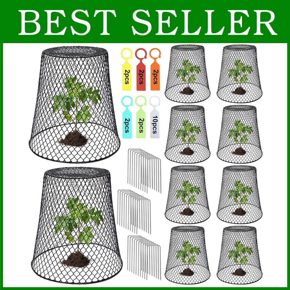 Chicken Wire Garden Cloches x10