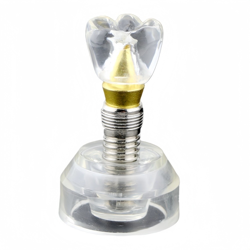 Dental Implant Model Demonstration Teeth Study Teach Models Detachable M2020