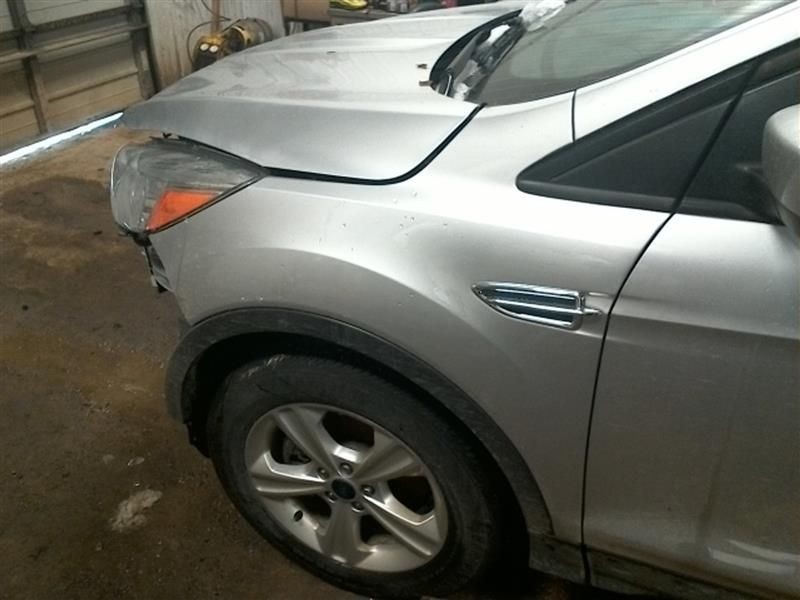 ESCAPE 2015 Rocker Panel Moulding 10130797