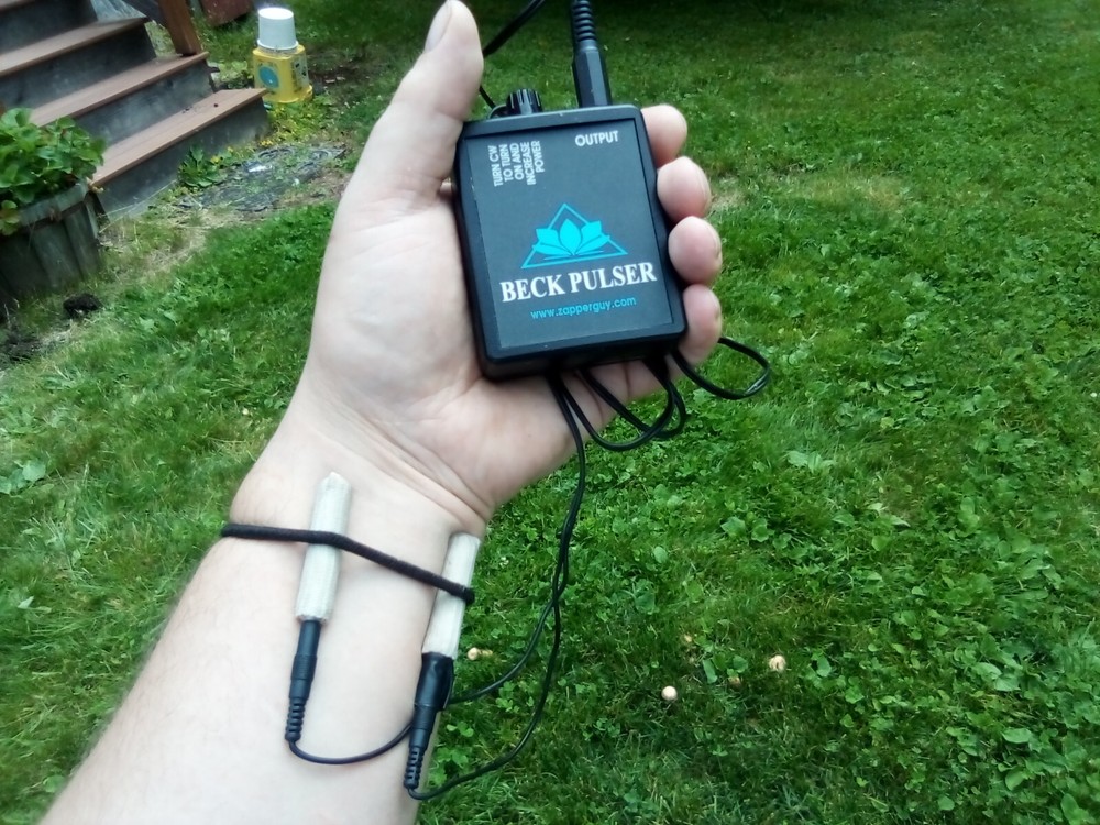 Bob Beck micropuler/Blood Electrifier Take Back Your Power!!!