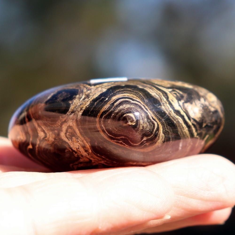 Polished Stromatolite Heart (MSC33)