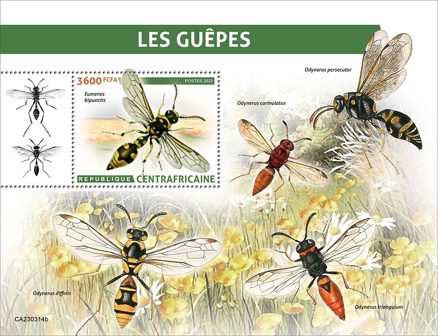 Wasps