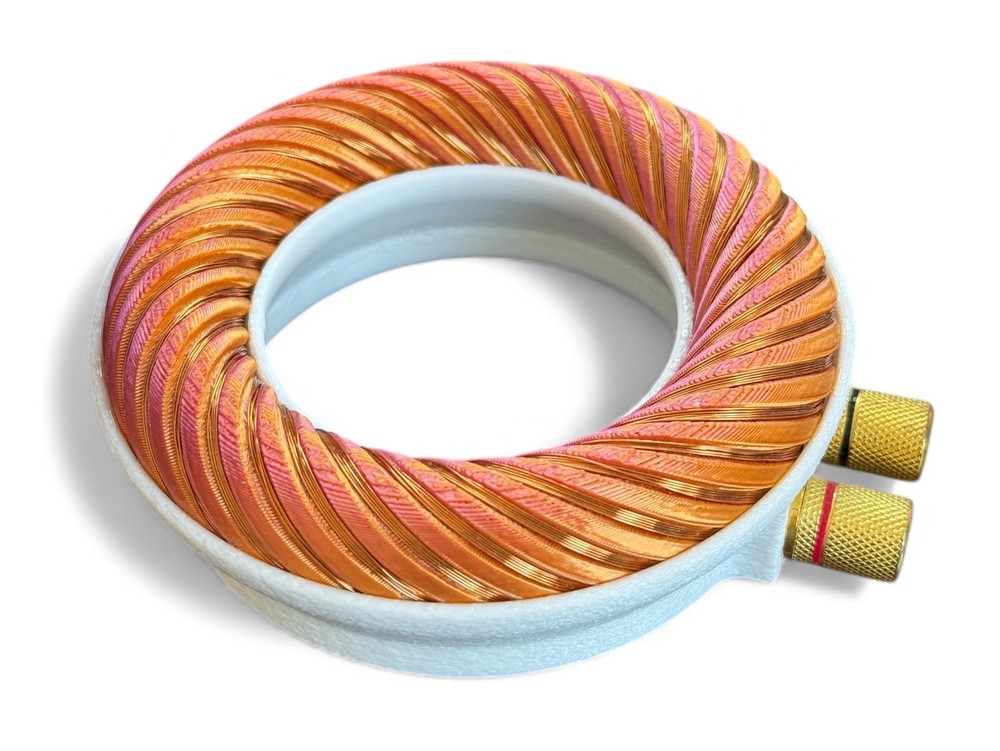 Rodin coil Scalar Wave toroidal field generator module