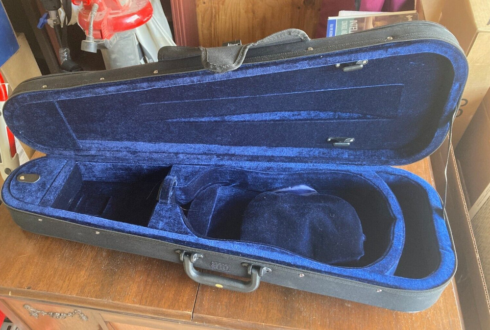 Aileen Violin Case....CSV102?