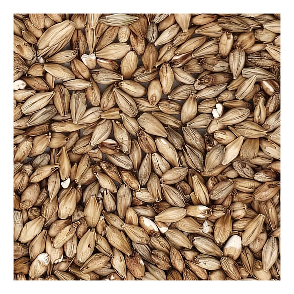 Home Brew Ohio Acidulated Grain 5lb