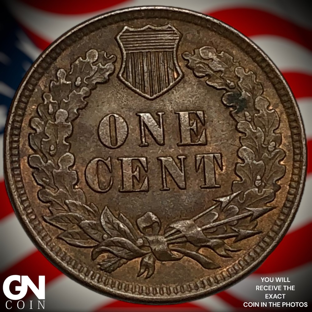 1899 Indian Head Cent Penny M8115