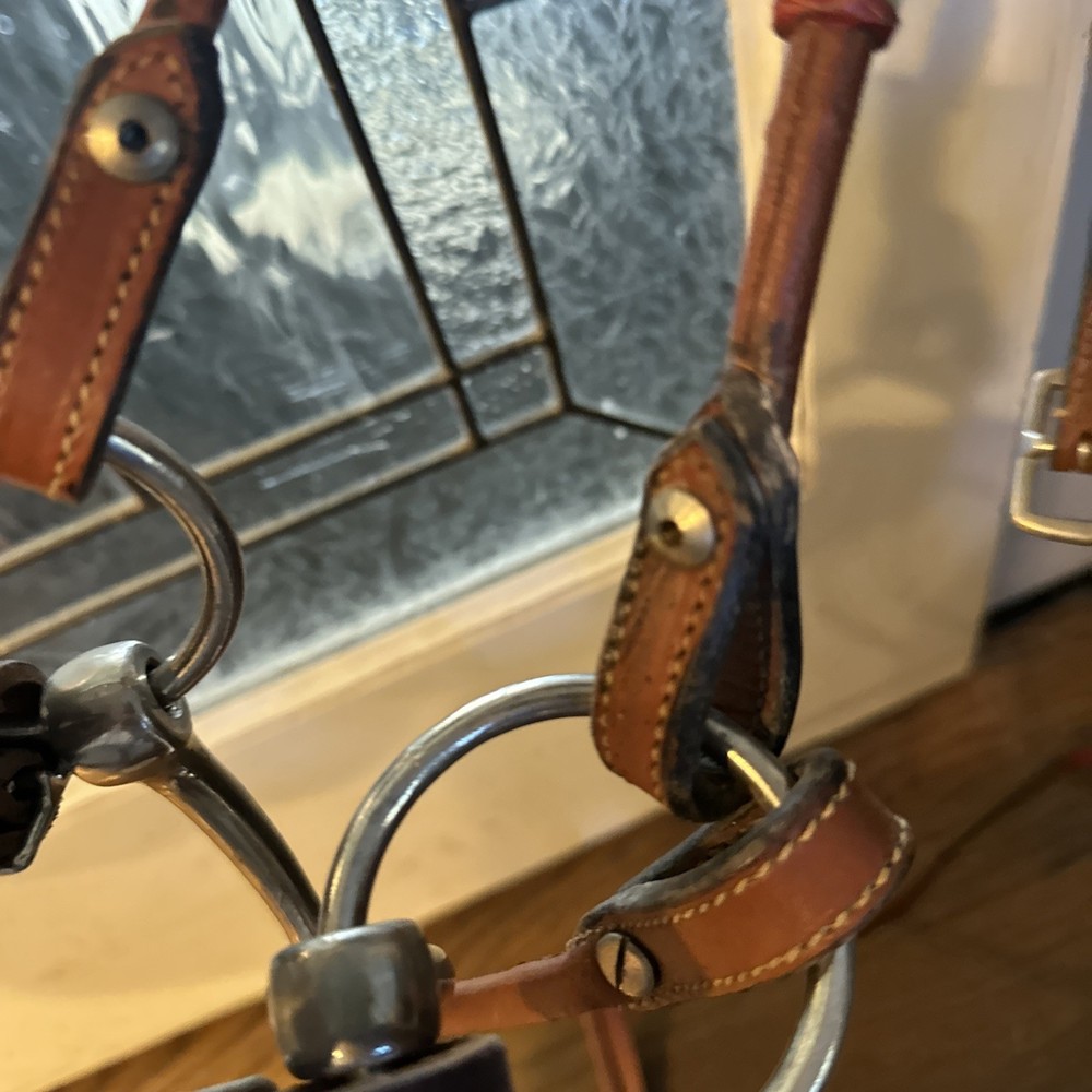 Bridle that combines side pull control with the action of a snaffle bit #R45
