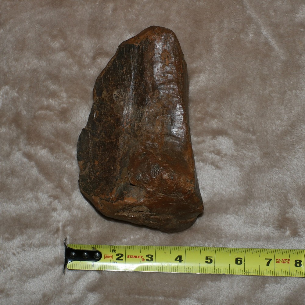 Unknown Dinosaur Bone Fossil - Heavy Thick Skull Hell Creek Formation Cretaceous