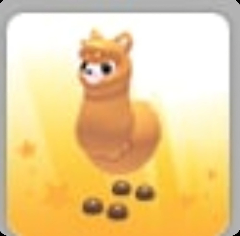 Alpaca | Adopt Now