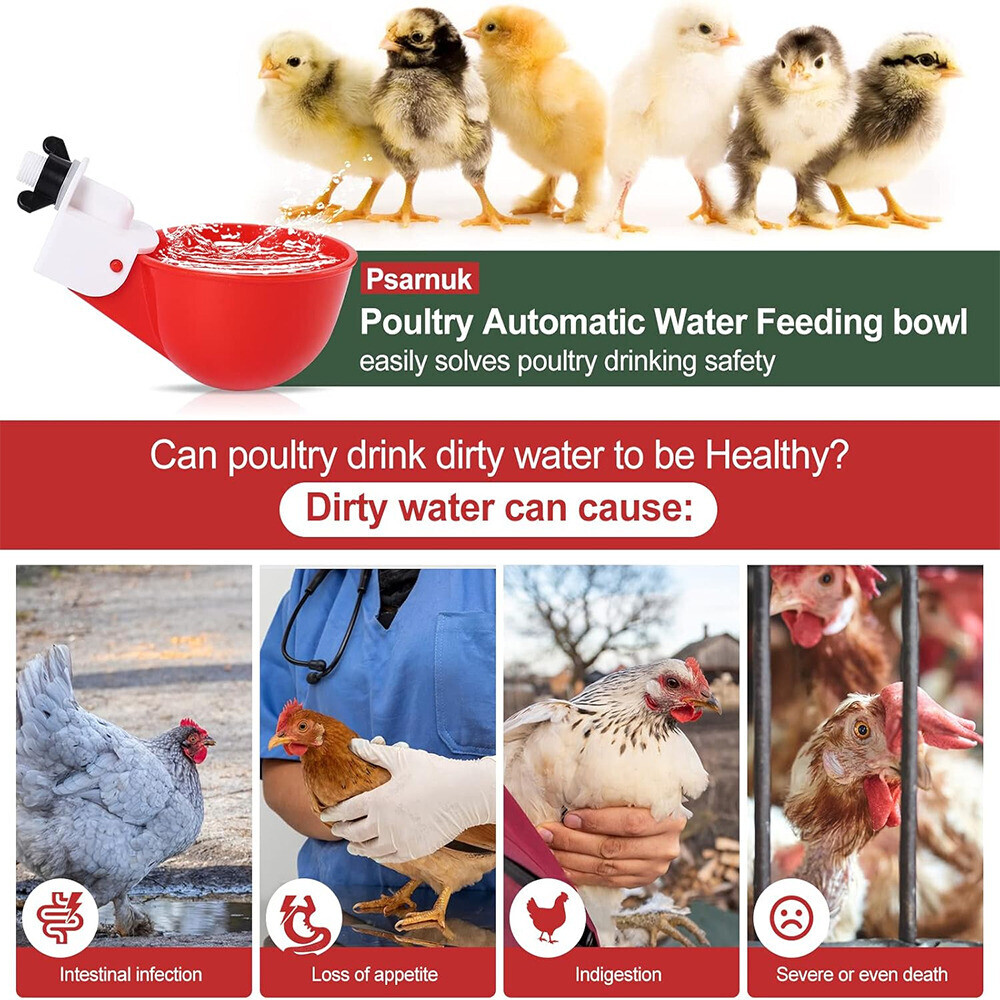 8X Poultry Water Drinking Cups Chicken Hen Plastic Automatic Drinker Feeder
