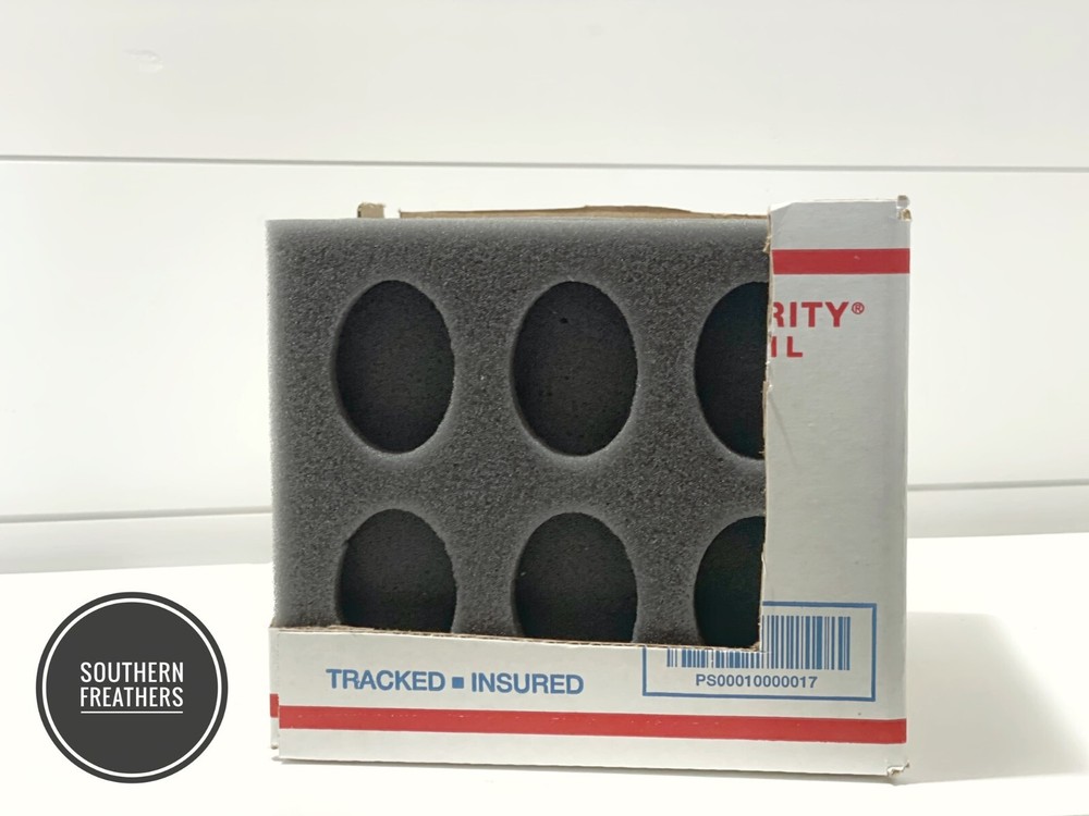 5 Kits 12 Hole Oblong Foam Egg Shippers