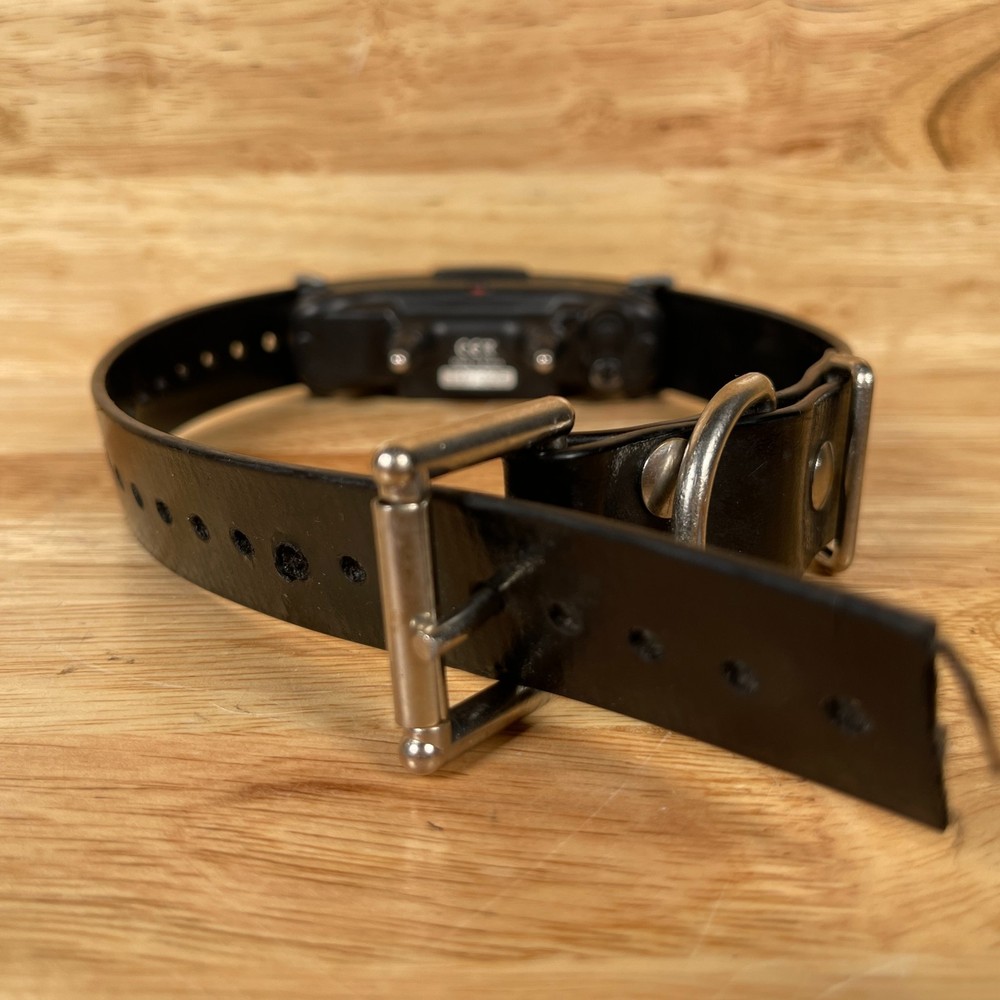 Dogtra Black Rechargeable Adjustable Static/Shock Dog Training Collar Only