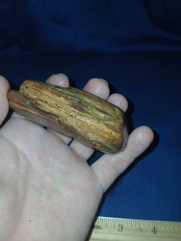 6 oz Red Petrified Wood