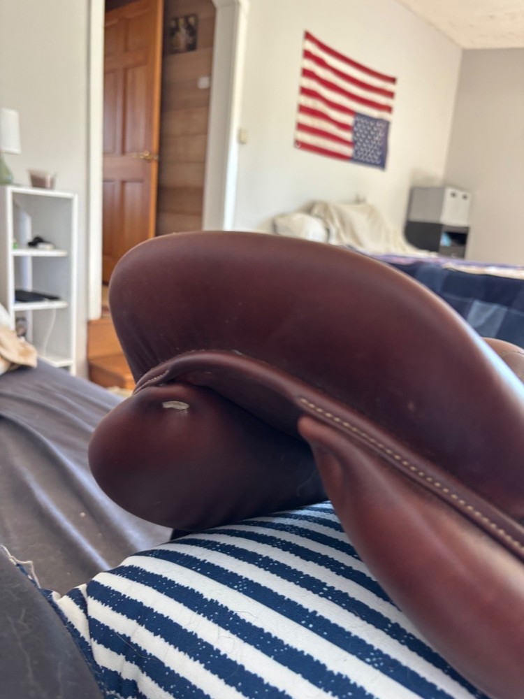 Lightly Used Antares Jumping Saddle 17"