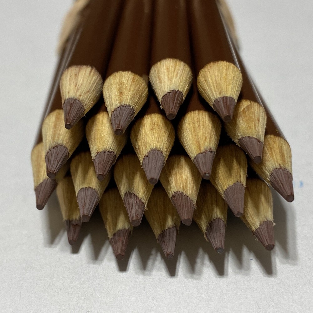 (20) Crayola Colored Pencils (brown) BULK