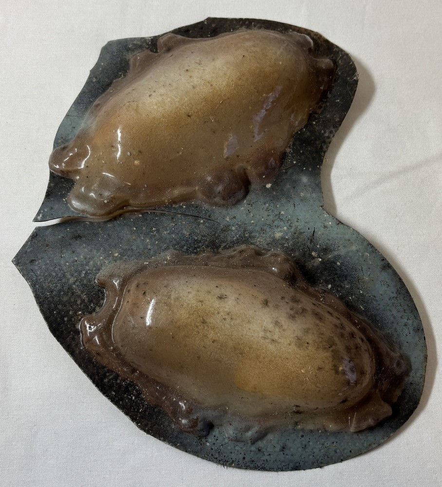 NBC tv show SURFACE sfx prop ~ MONSTER BEACH EGGS