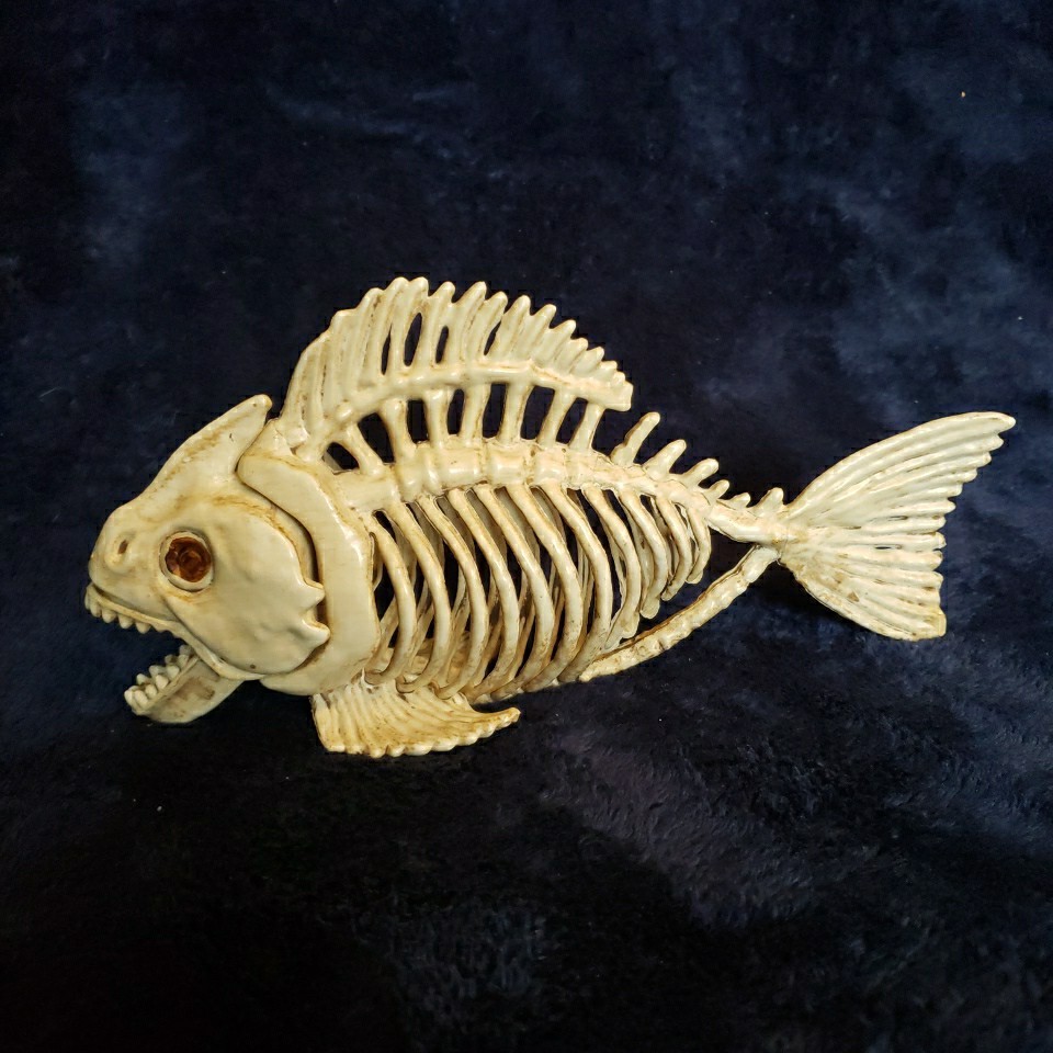 Crazy Bones Fish Skeleton Figure Approx 10”