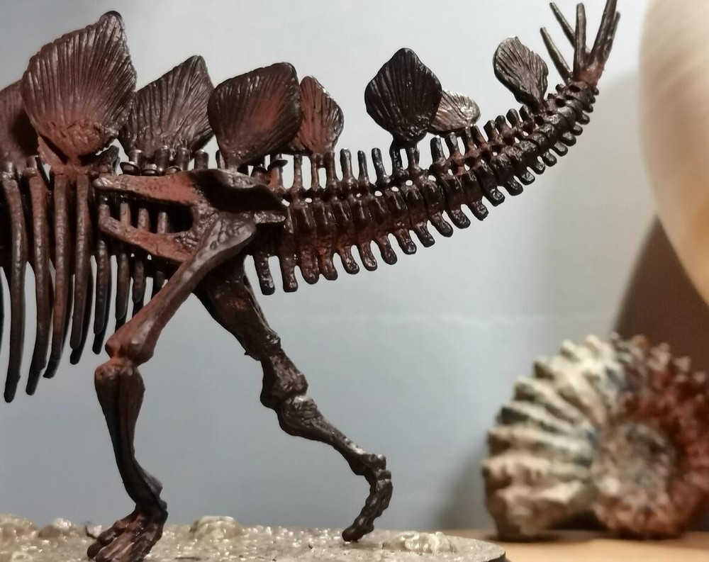 Stegosaurus Skeleton Model Dinosaur Model Statue Display Animal Model