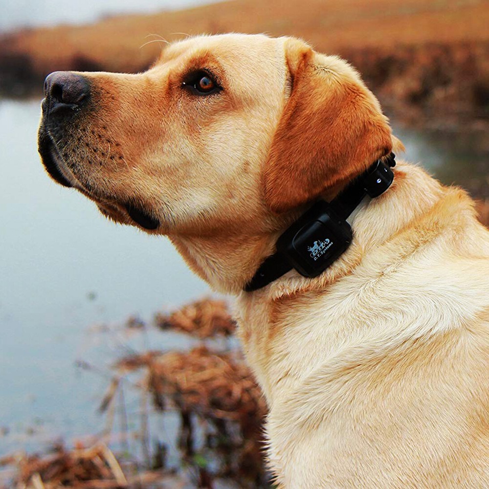 DT Systems Rapid Access Pro Trainer RAPT 1400