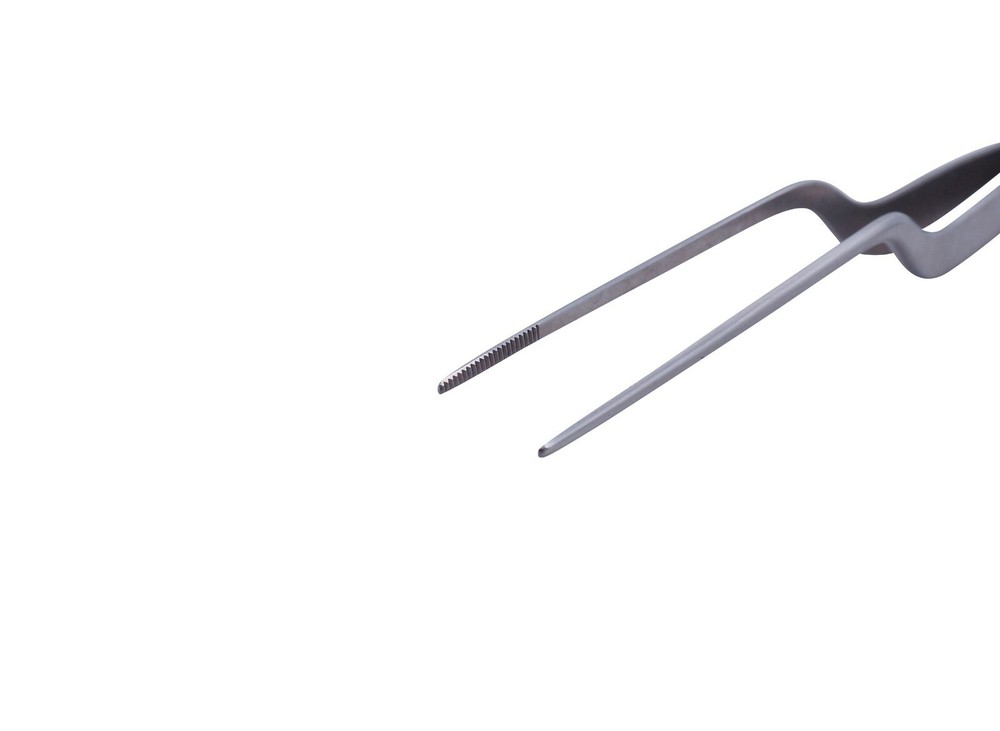 Aesculap Tissue Forceps BD878R