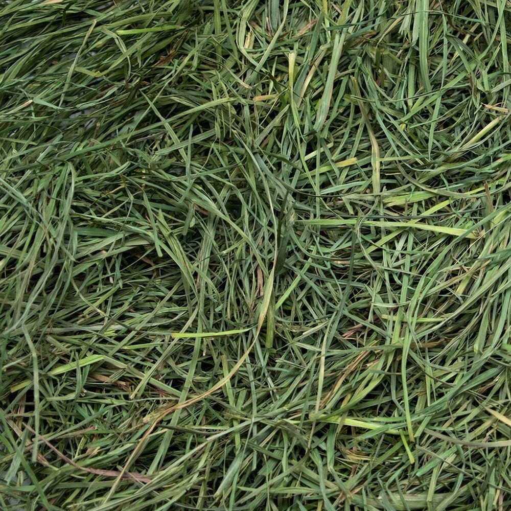 Ultra Premium Soft Orchard Grass; 5lb box