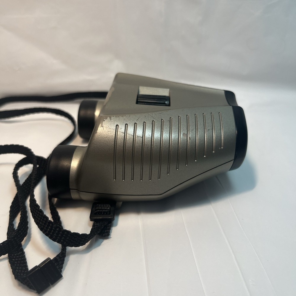 Panaview binoculars 6 X 20mm field 7° silver with strap
