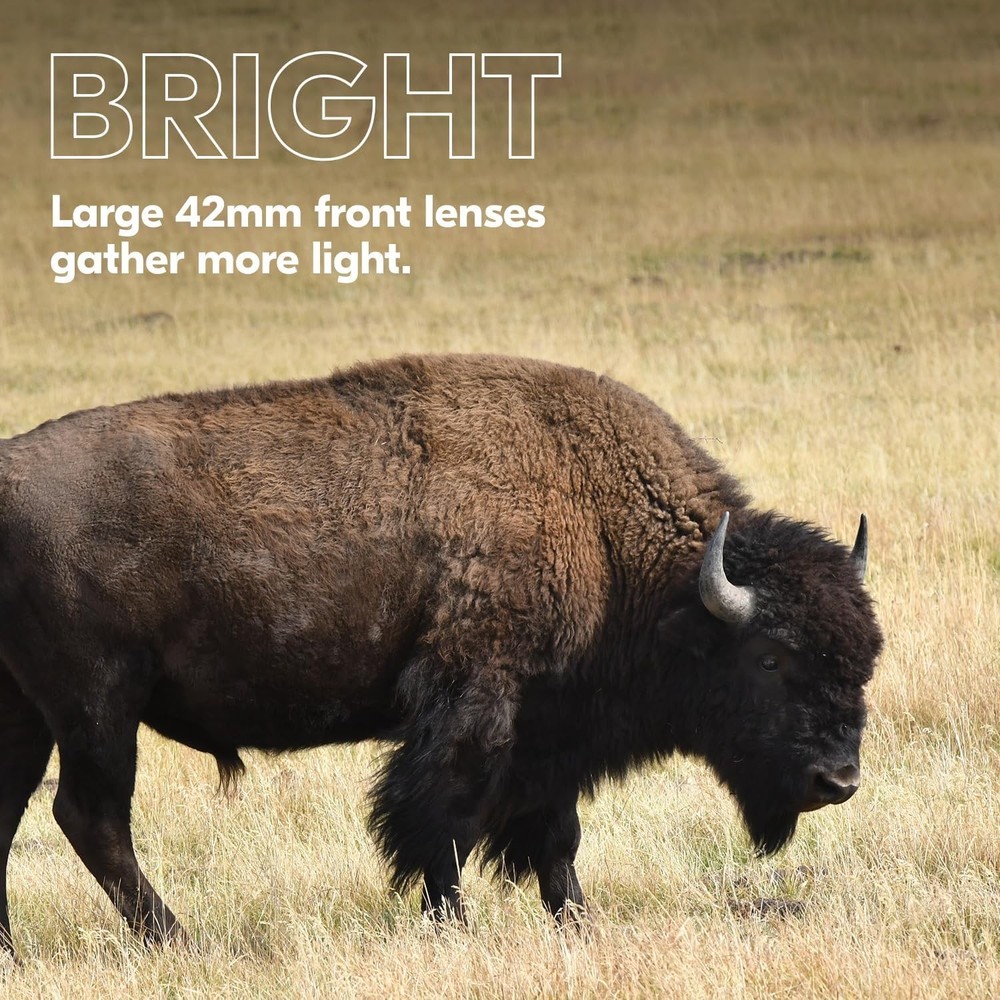 Nikon PROSTAFF P3 8x42 Binoculars